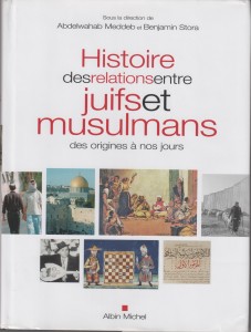 Histoire des relations entre juifs et musulmans des origines à nos jours